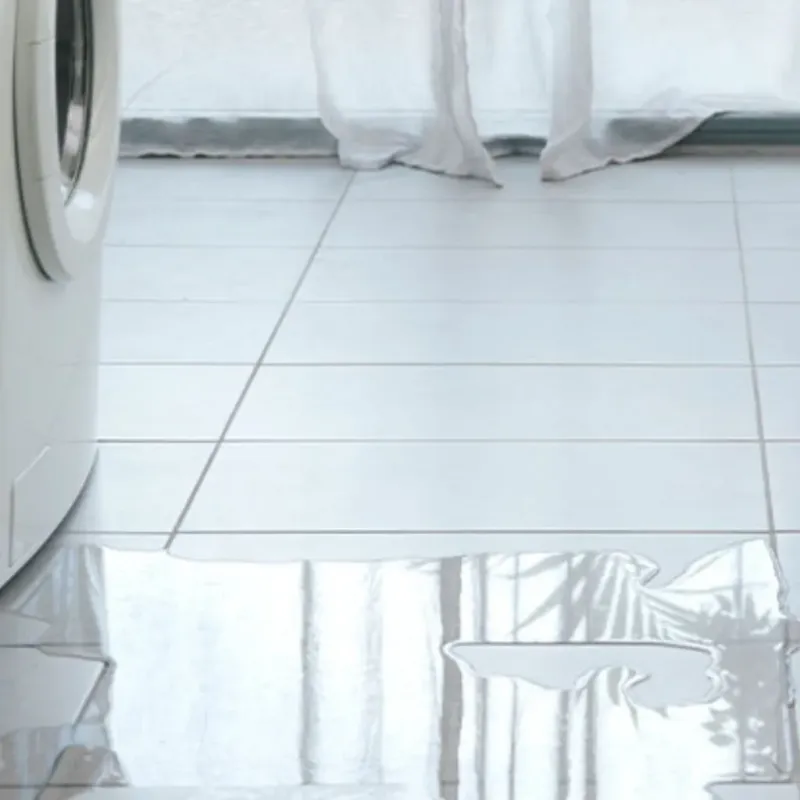 Appliance Leak Cleanup in Stockbridge, MI