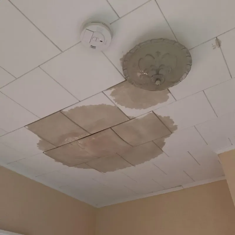 Ceiling Water Damage Repair in Stockbridge, MI