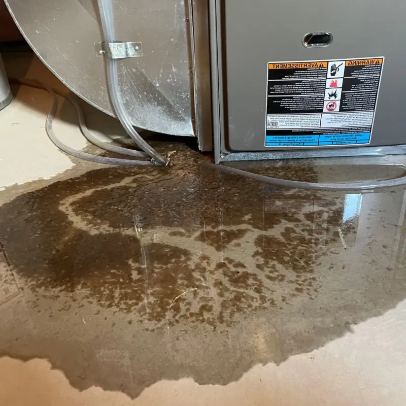 Pipe Burst and Leak Restoration in Stockbridge, MI